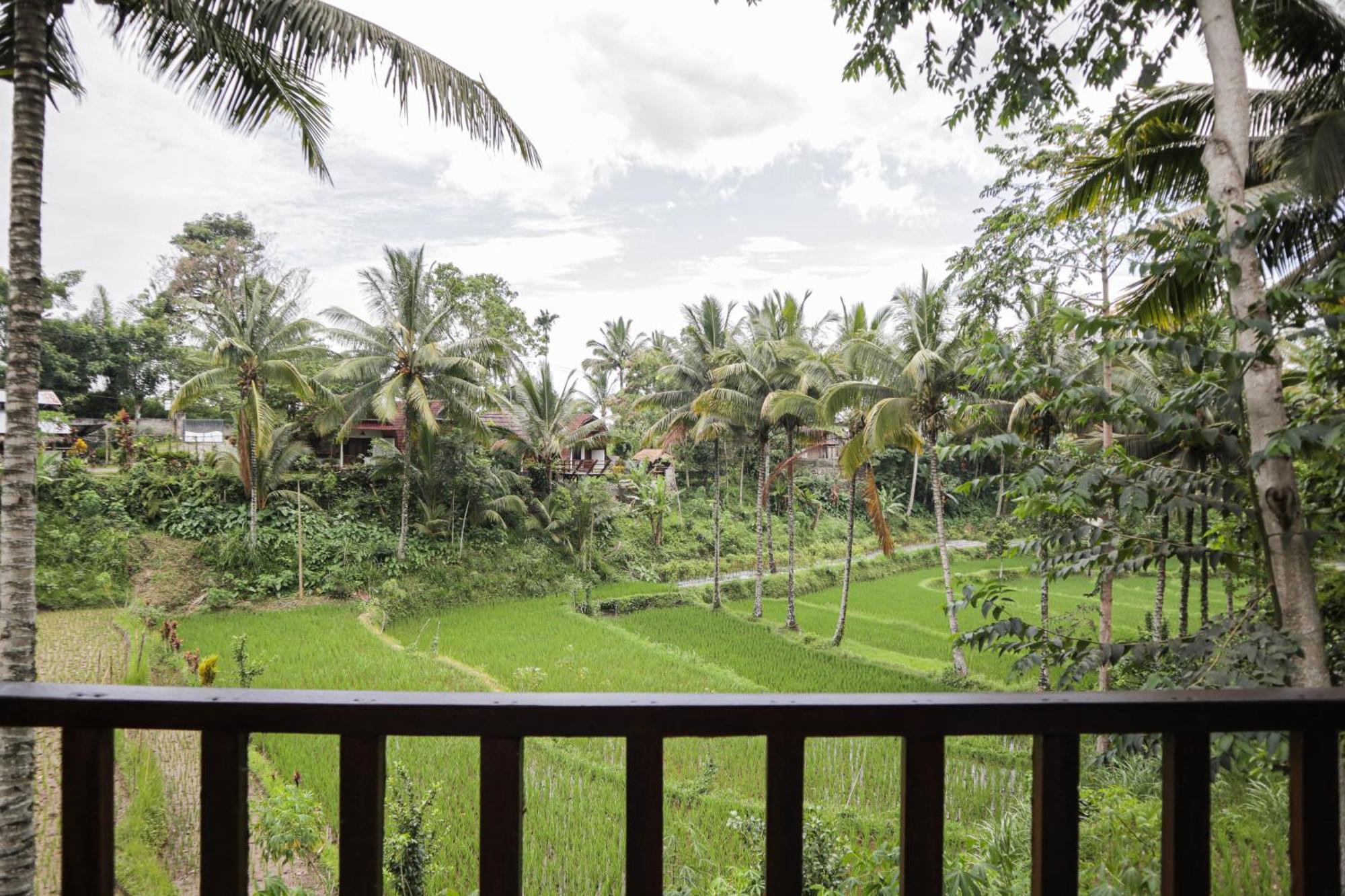 Nea Cottage Lombok テテバトゥ エクステリア 写真