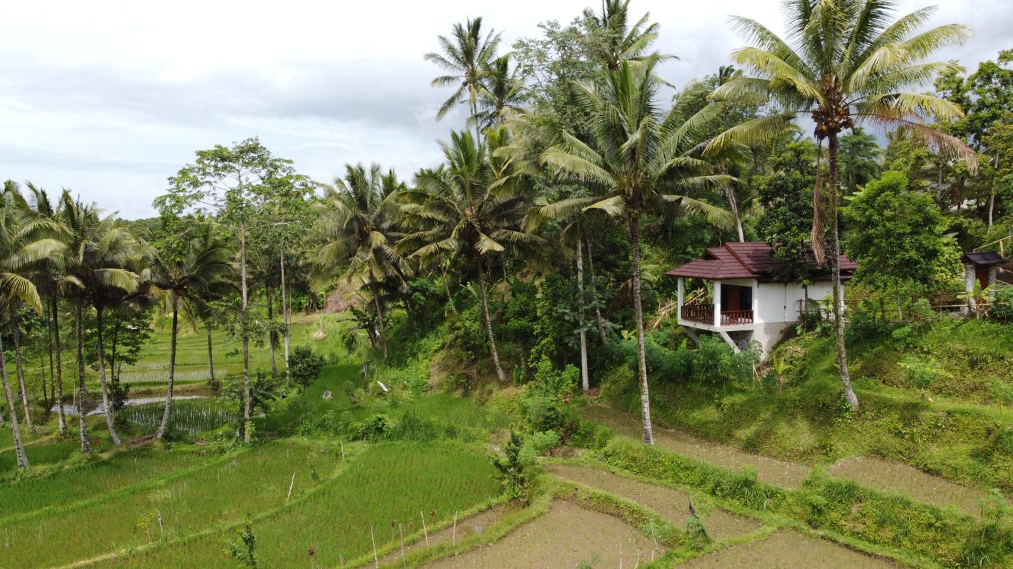 Nea Cottage Lombok テテバトゥ エクステリア 写真