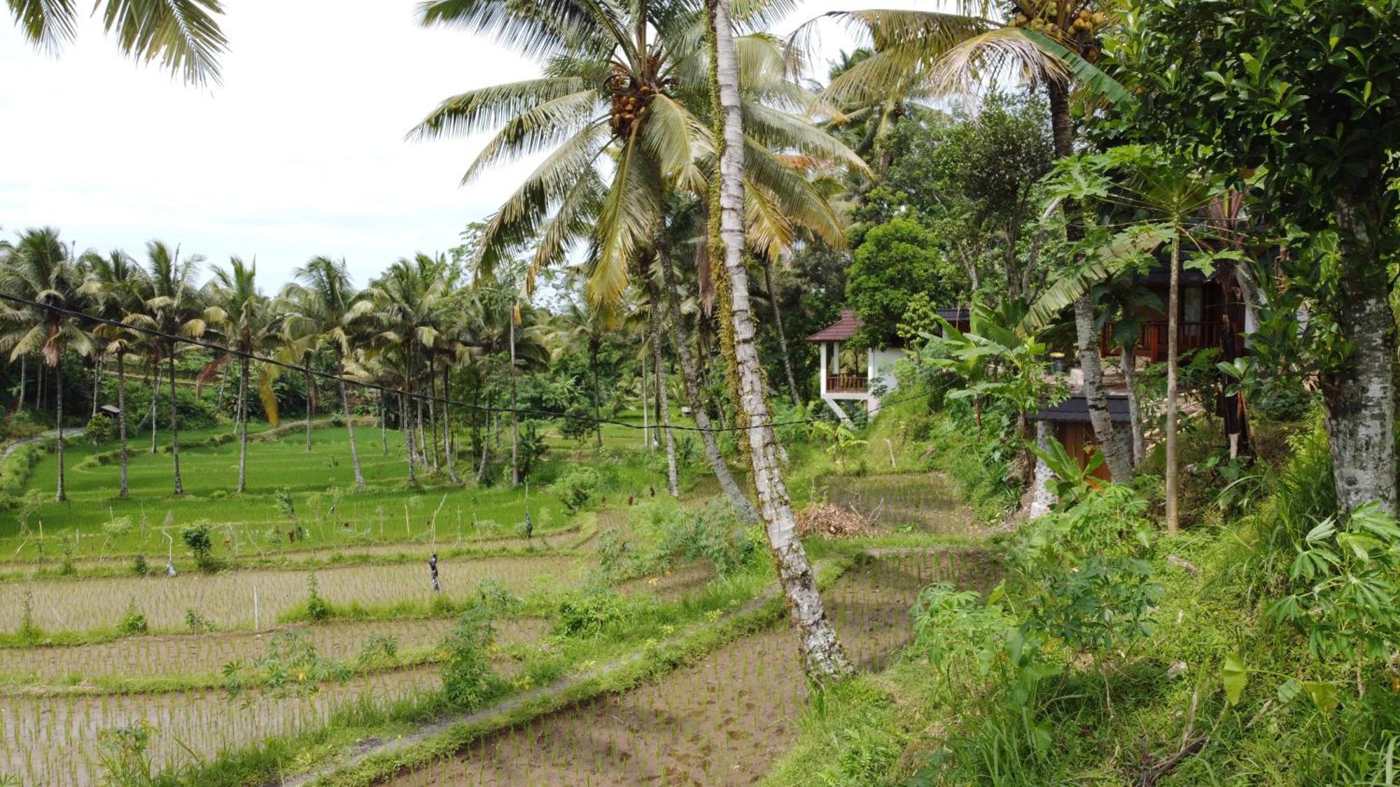 Nea Cottage Lombok テテバトゥ エクステリア 写真