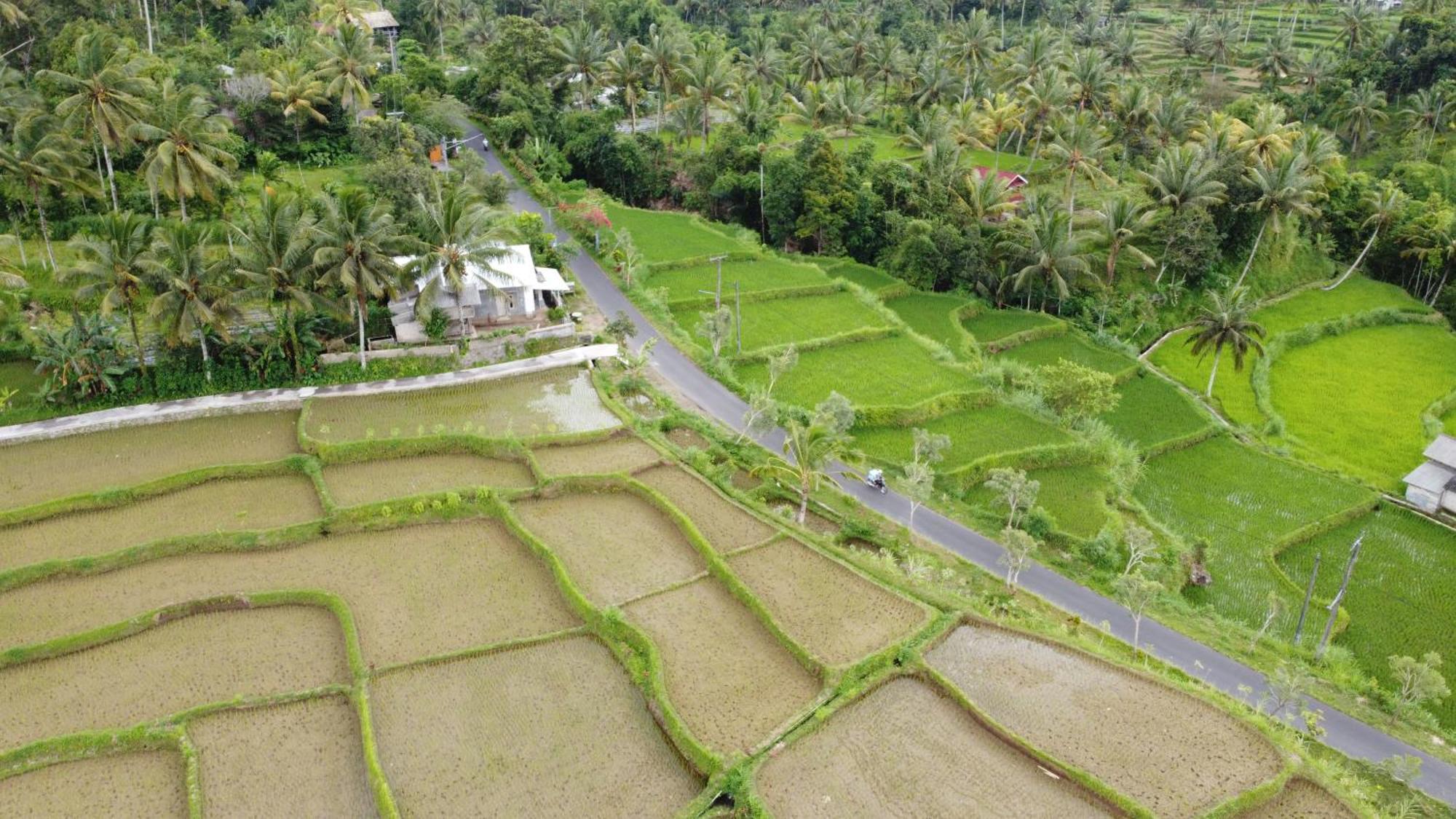 Nea Cottage Lombok テテバトゥ エクステリア 写真