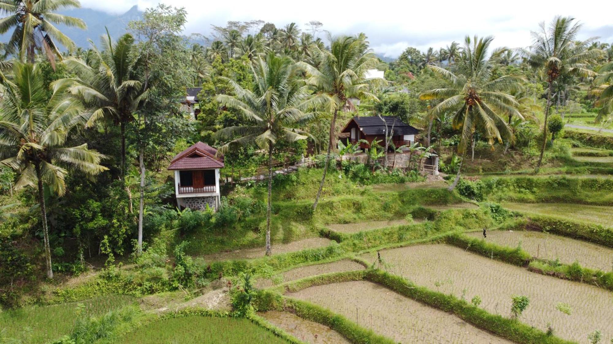 Nea Cottage Lombok テテバトゥ エクステリア 写真