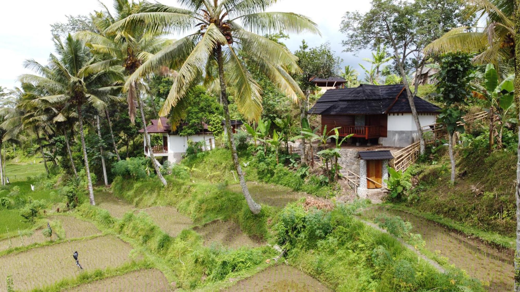 Nea Cottage Lombok テテバトゥ エクステリア 写真