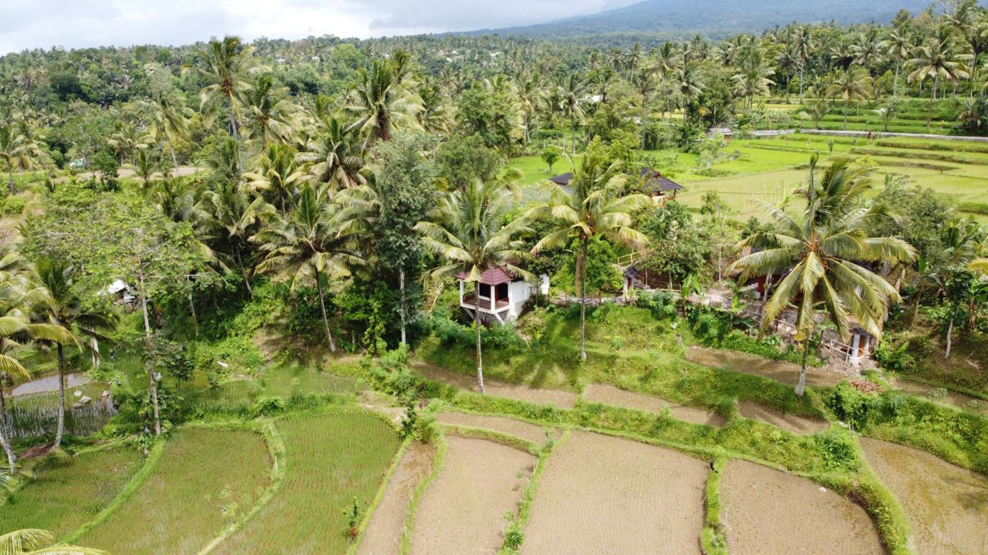 Nea Cottage Lombok テテバトゥ エクステリア 写真