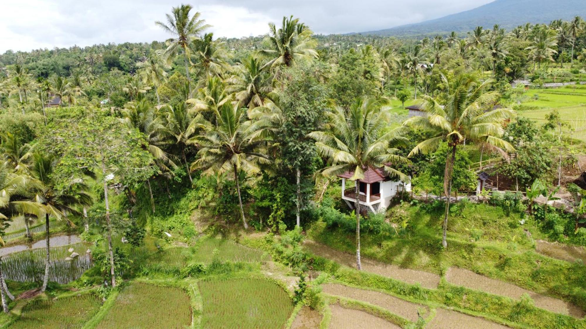 Nea Cottage Lombok テテバトゥ エクステリア 写真