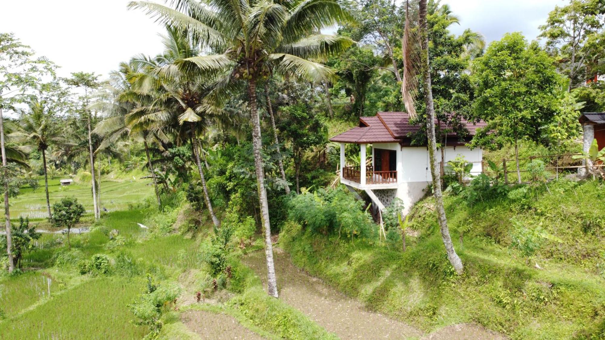 Nea Cottage Lombok テテバトゥ エクステリア 写真