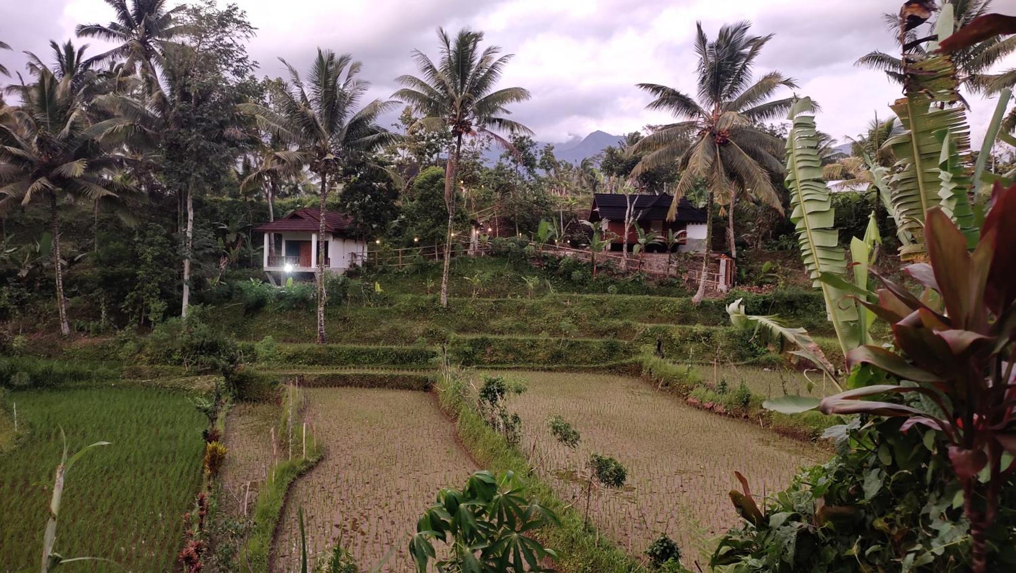 Nea Cottage Lombok テテバトゥ エクステリア 写真