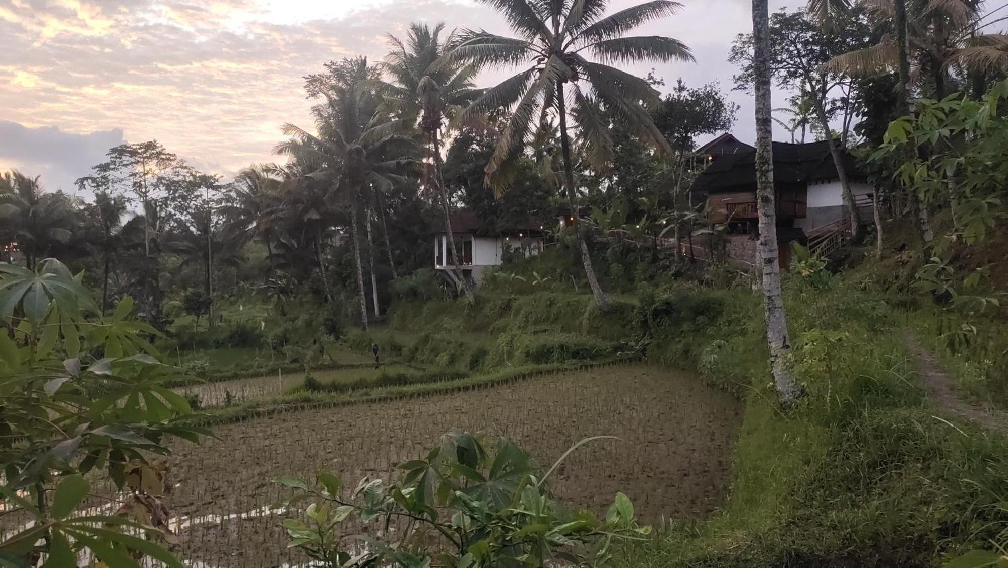 Nea Cottage Lombok テテバトゥ エクステリア 写真