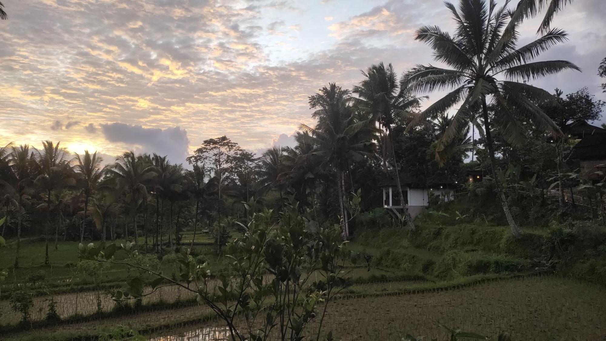 Nea Cottage Lombok テテバトゥ エクステリア 写真