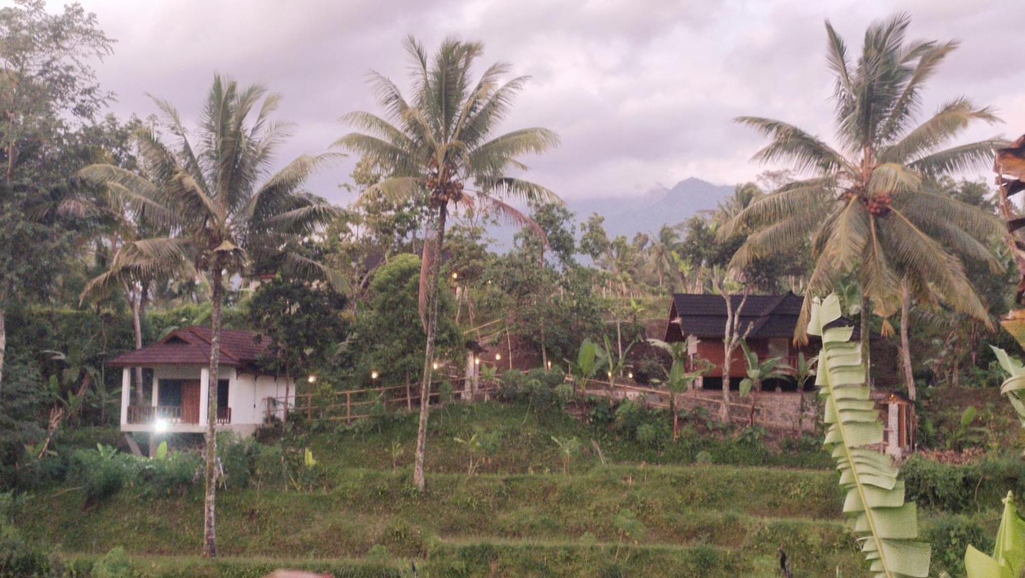 Nea Cottage Lombok テテバトゥ エクステリア 写真