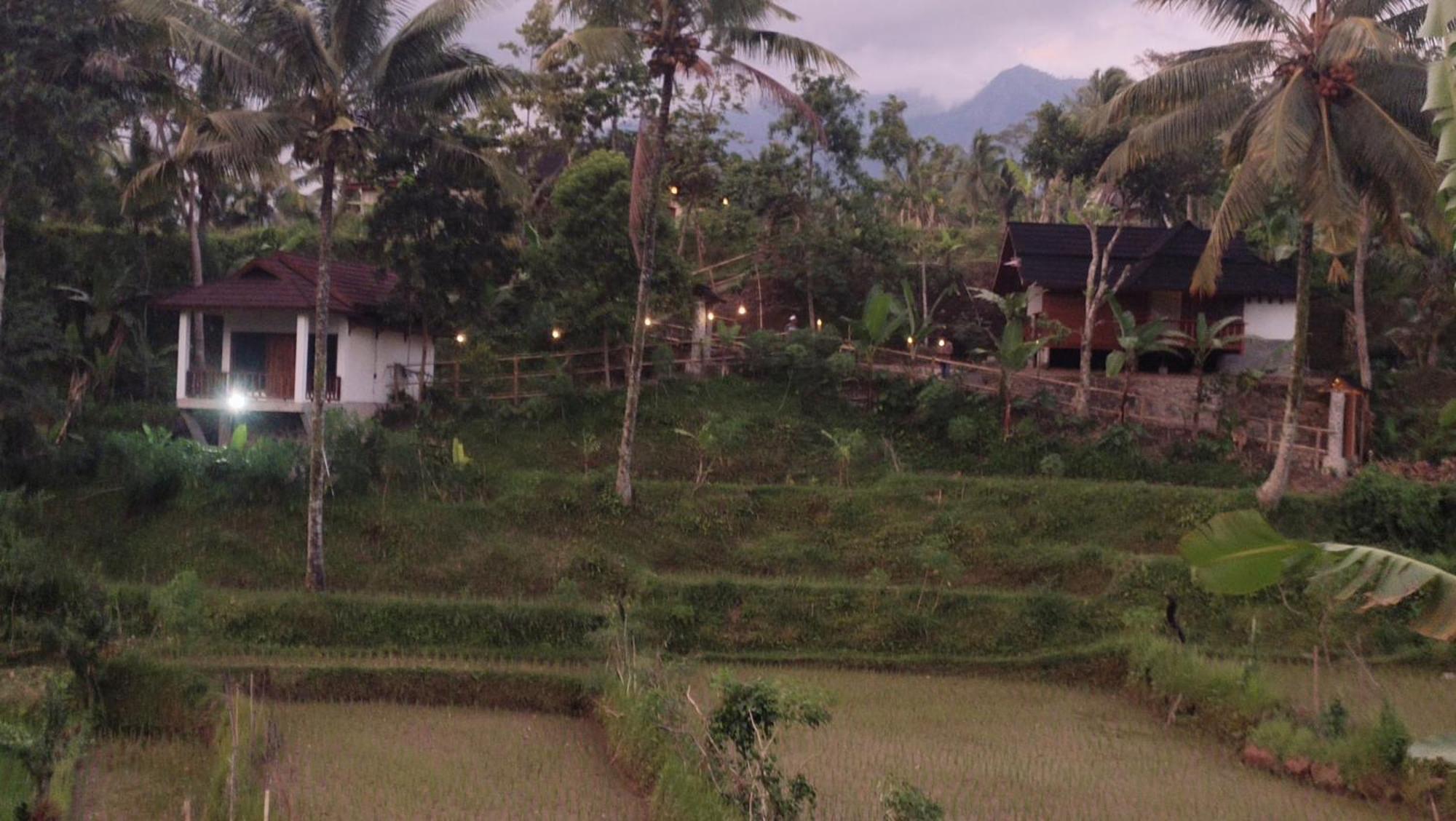 Nea Cottage Lombok テテバトゥ エクステリア 写真