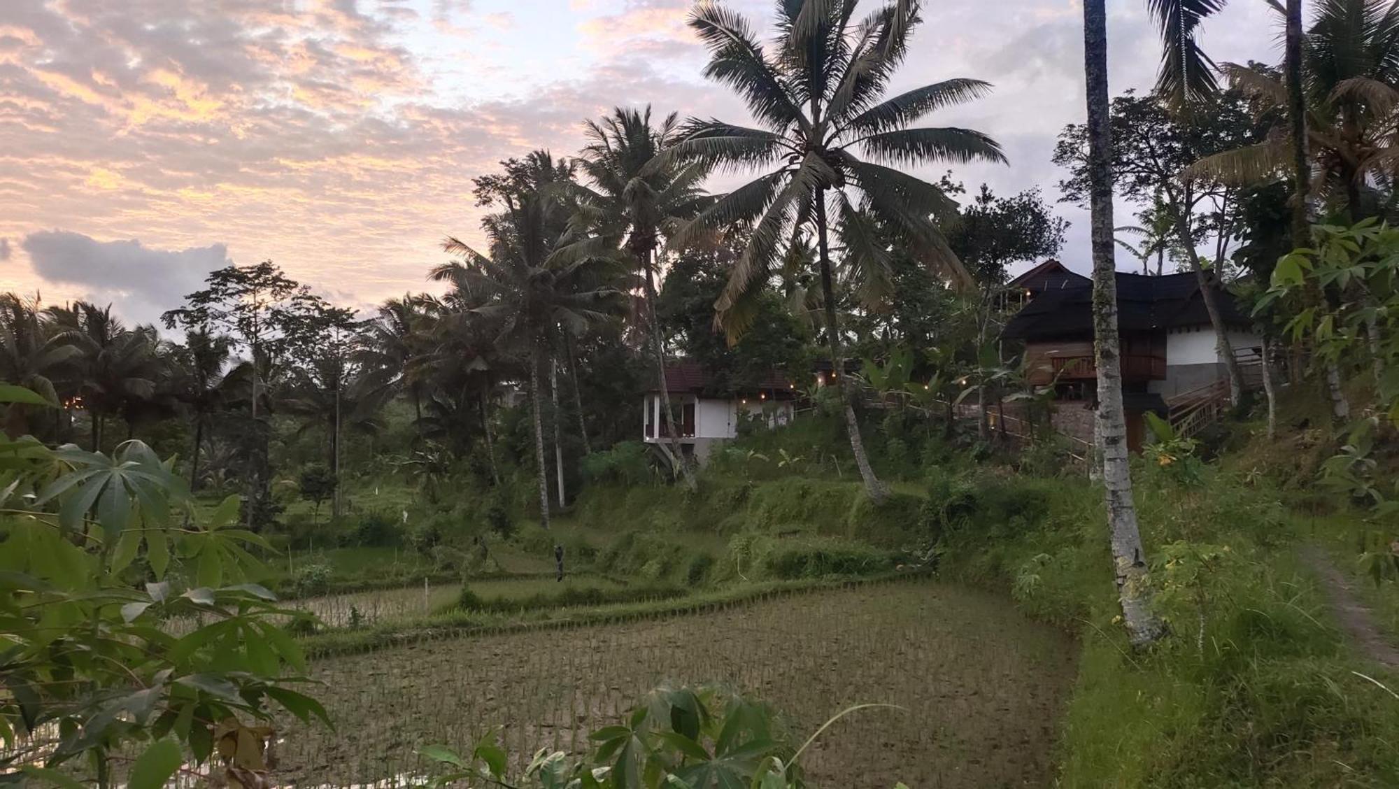 Nea Cottage Lombok テテバトゥ エクステリア 写真